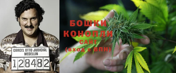 дживик Балабаново