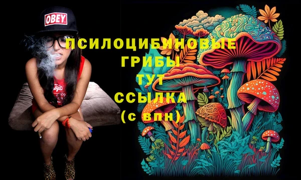 дживик Балабаново