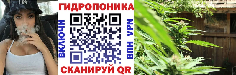 как найти закладки Ельня Конопля планчик